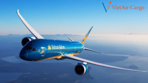 Khám Phá Các Loại Máy Bay Mà Vietnam Airlines Sử Dụng